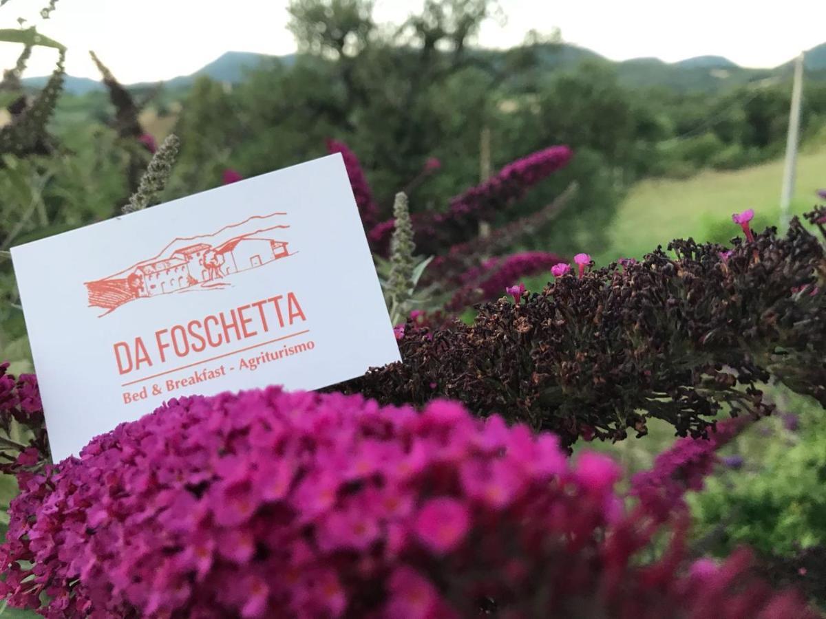 Villa Da Foschetta Matelica Exterior foto